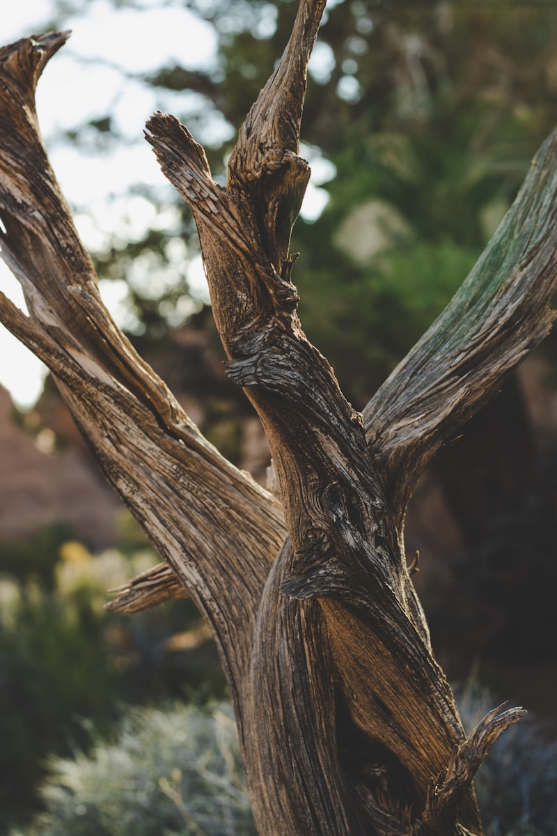 Kuru Cilt Belirtileri Nelerdir?